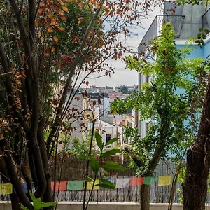  Affittacamere Lost :: Avenida House Portogallo